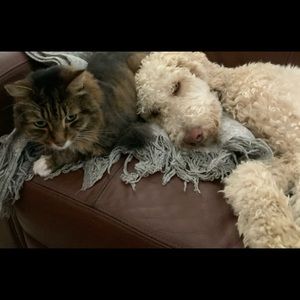 Meet your Posher, Jean